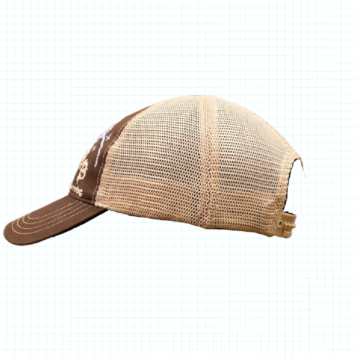 STARRY THINKER Cap