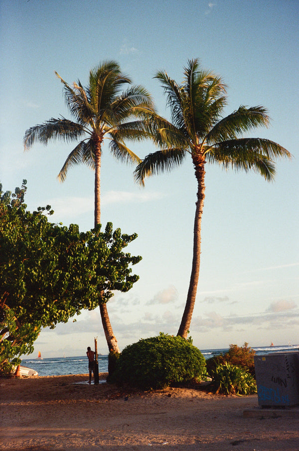 Fig. 8.14 Film Journal - Honolulu (2025)