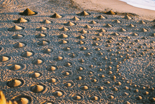 Fig. 8.4 Film Journal - Ocean Beach 2022