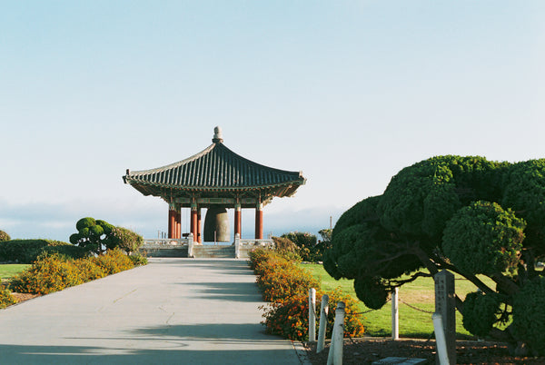 Fig. 8.9 Film Journal - San Pedro 2022