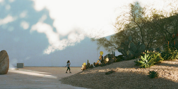 Fig. 8.3 Film Journal - Noguchi Garden