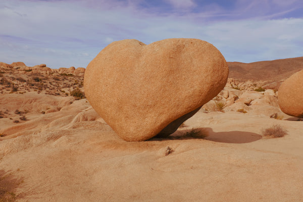 Fig. 8.10 Film Journal - I <3 Rock, JTree (2024)
