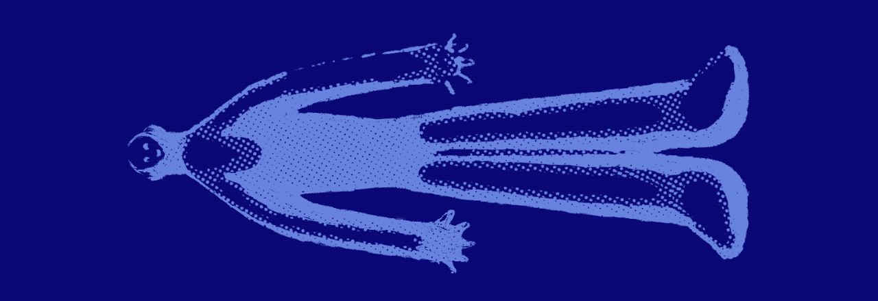 Splash Logo