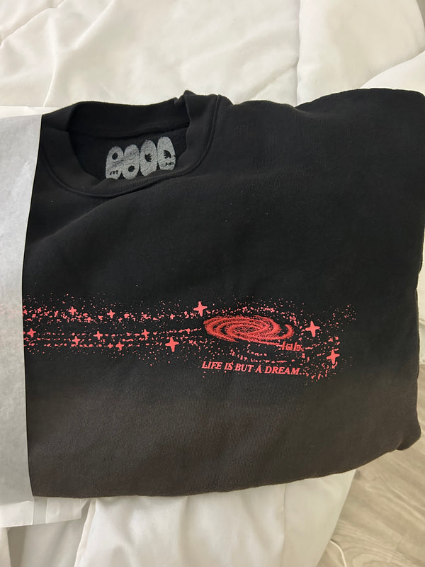 Fig 10.6 life is but a dream detail