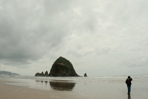 Fig. 8.17 Film Journal - Cannon Beach (2026)
